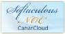 Softaculoud NOC Partner